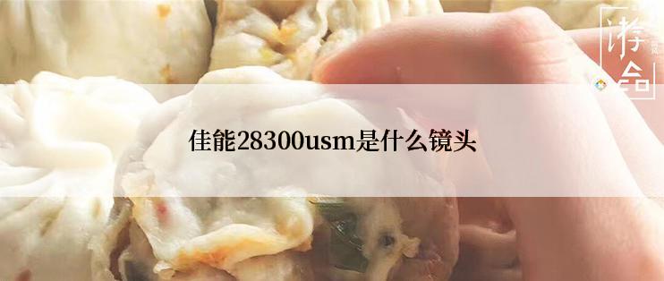 佳能28300usm是什么镜头