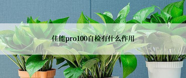 佳能pro100自检有什么作用