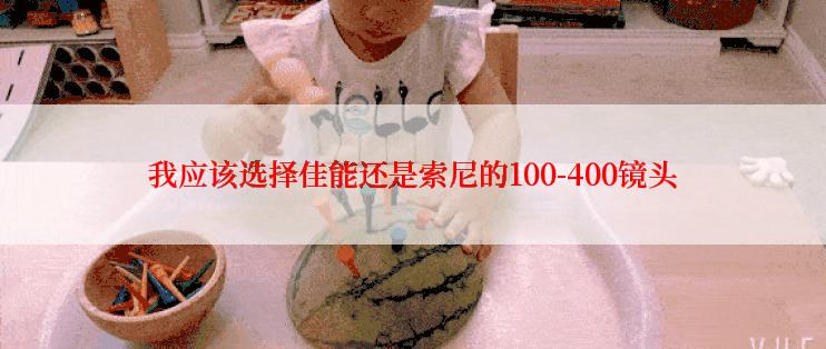 我应该选择佳能还是索尼的100-400镜头