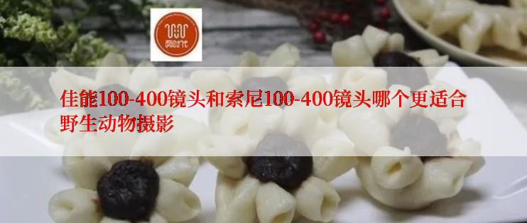 佳能100-400镜头和索尼100-400镜头哪个更适合野生动物摄影