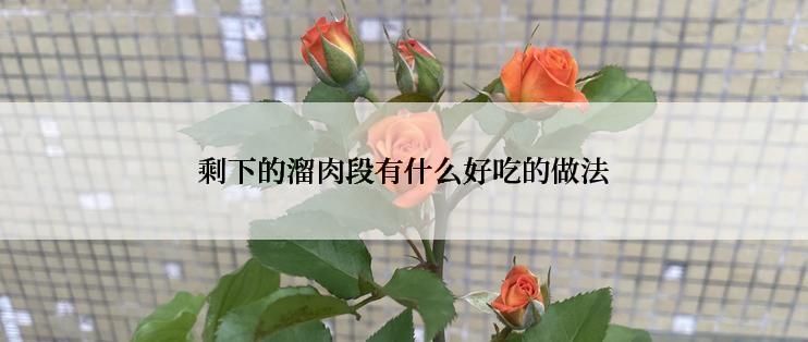 剩下的溜肉段有什么好吃的做法