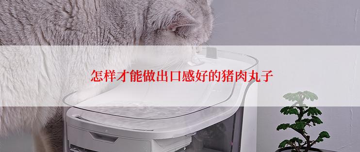  怎样才能做出口感好的猪肉丸子