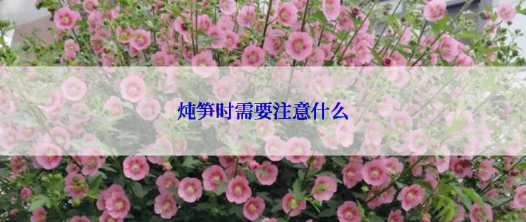 炖笋时需要注意什么