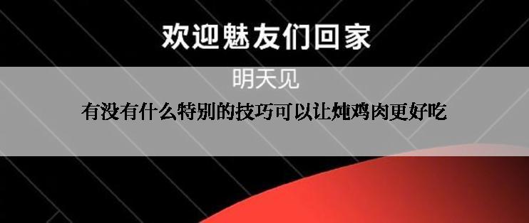 有没有什么特别的技巧可以让炖鸡肉更好吃