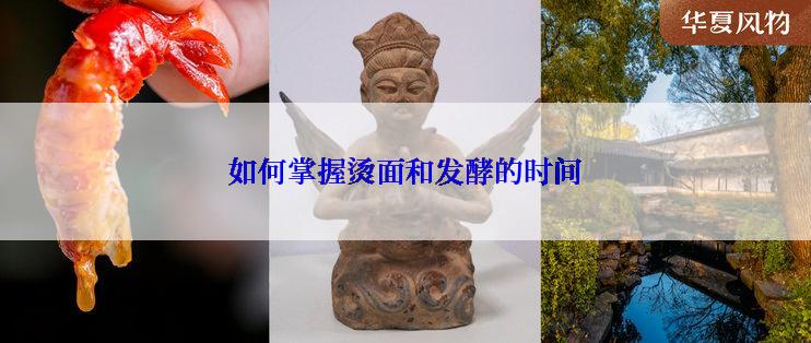 如何掌握烫面和发酵的时间