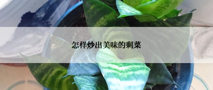 怎样炒出美味的剩菜