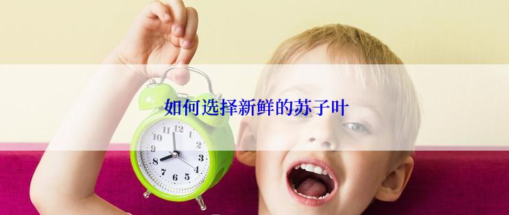  如何选择新鲜的苏子叶